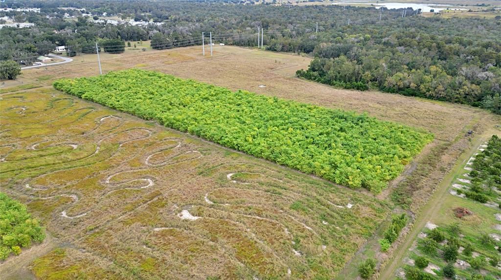 На продажу: $1,152,250 (46.09 acres)