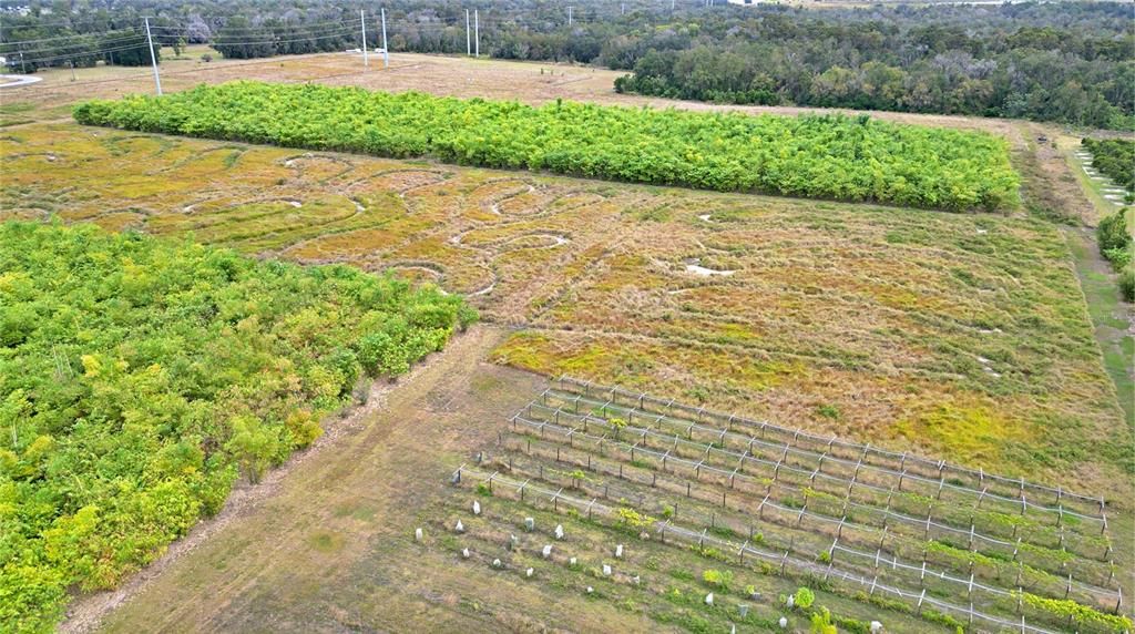 На продажу: $1,152,250 (46.09 acres)