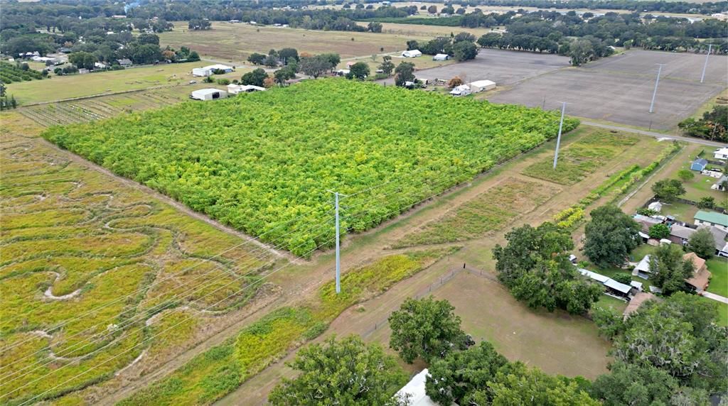 На продажу: $1,152,250 (46.09 acres)