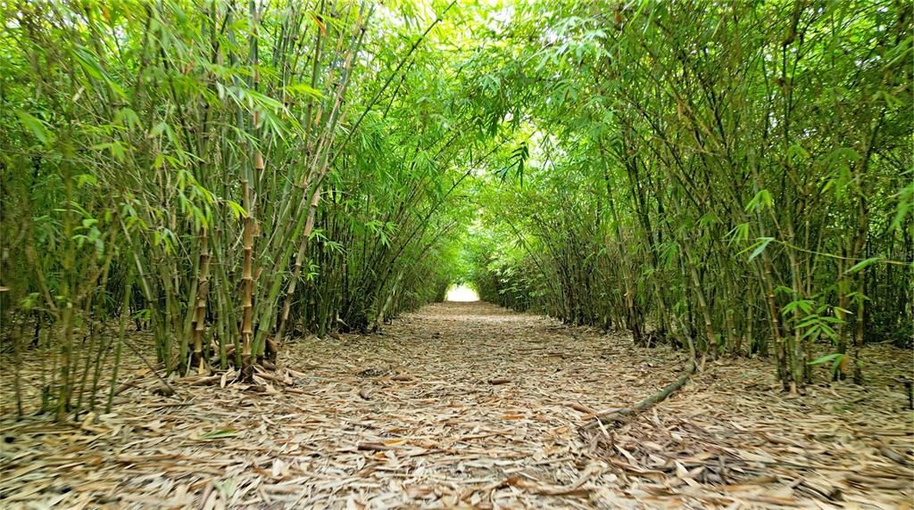 На продажу: $1,152,250 (46.09 acres)