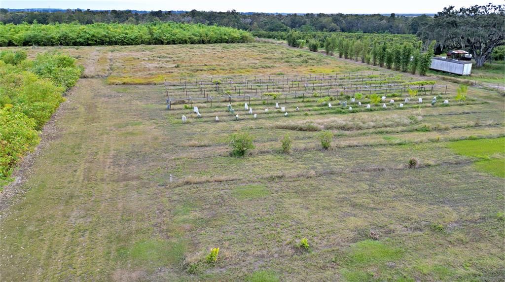 На продажу: $1,152,250 (46.09 acres)