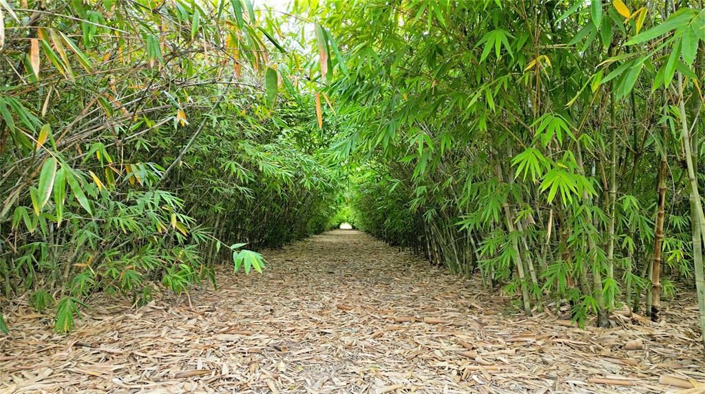 На продажу: $1,152,250 (46.09 acres)