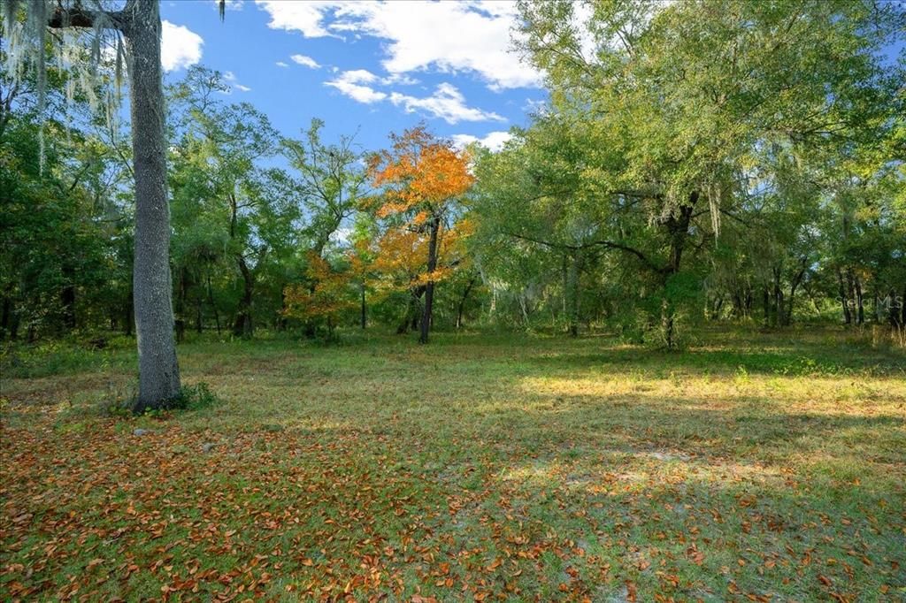 En Venta: $198,750 (7.95 acres)