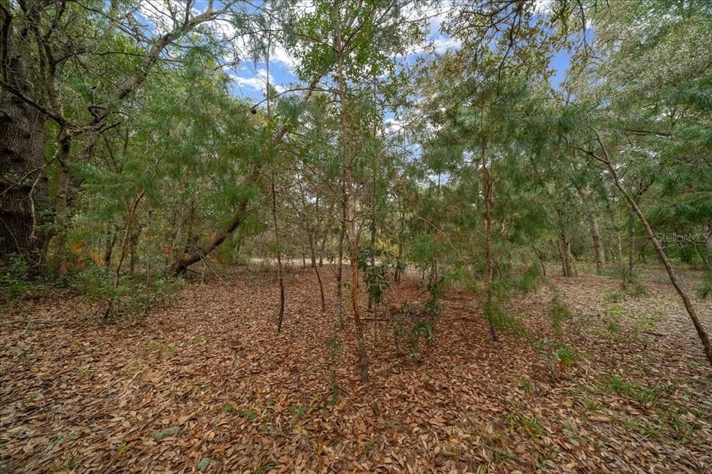 En Venta: $198,750 (7.95 acres)