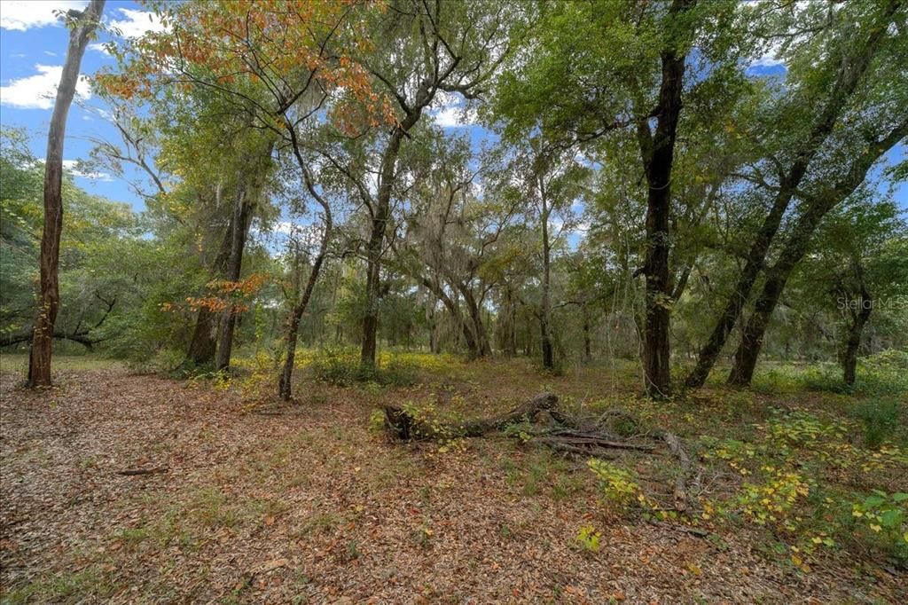 En Venta: $198,750 (7.95 acres)