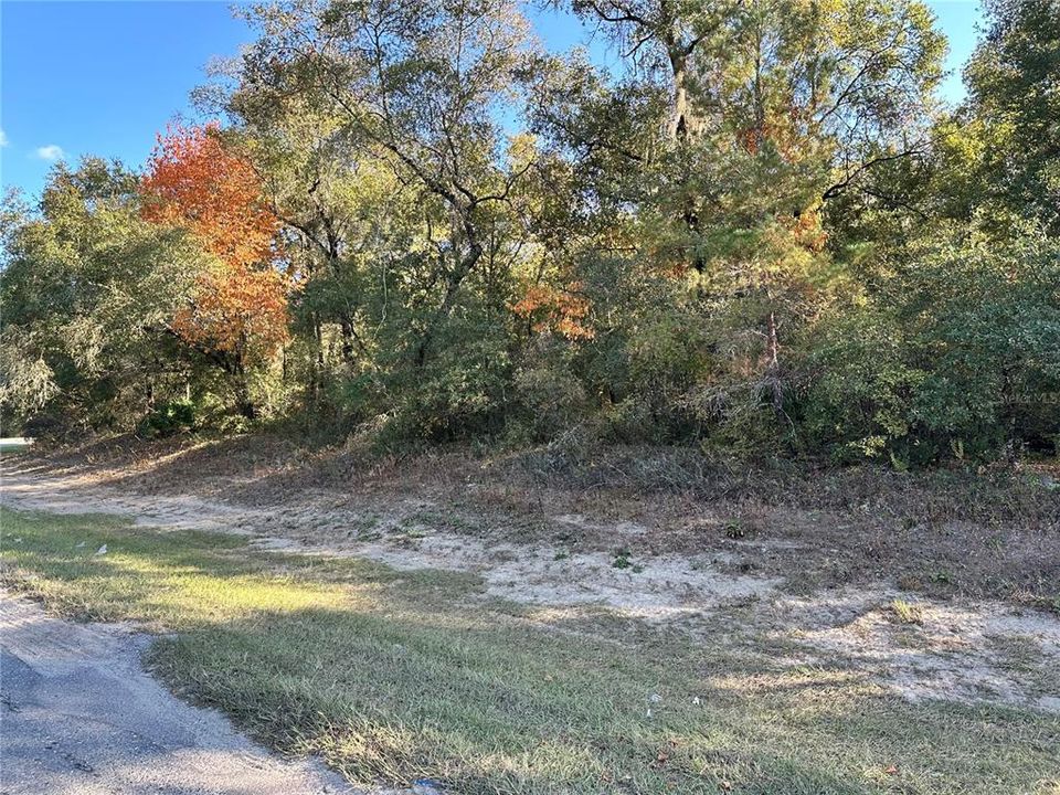 En Venta: $198,750 (7.95 acres)