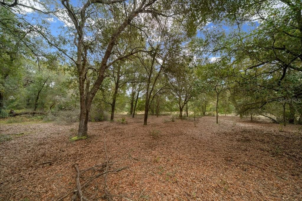 En Venta: $198,750 (7.95 acres)