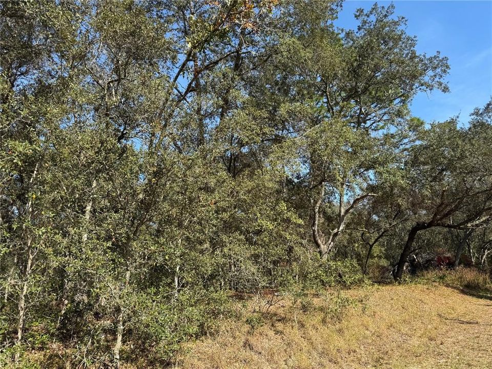 En Venta: $23,000 (0.34 acres)