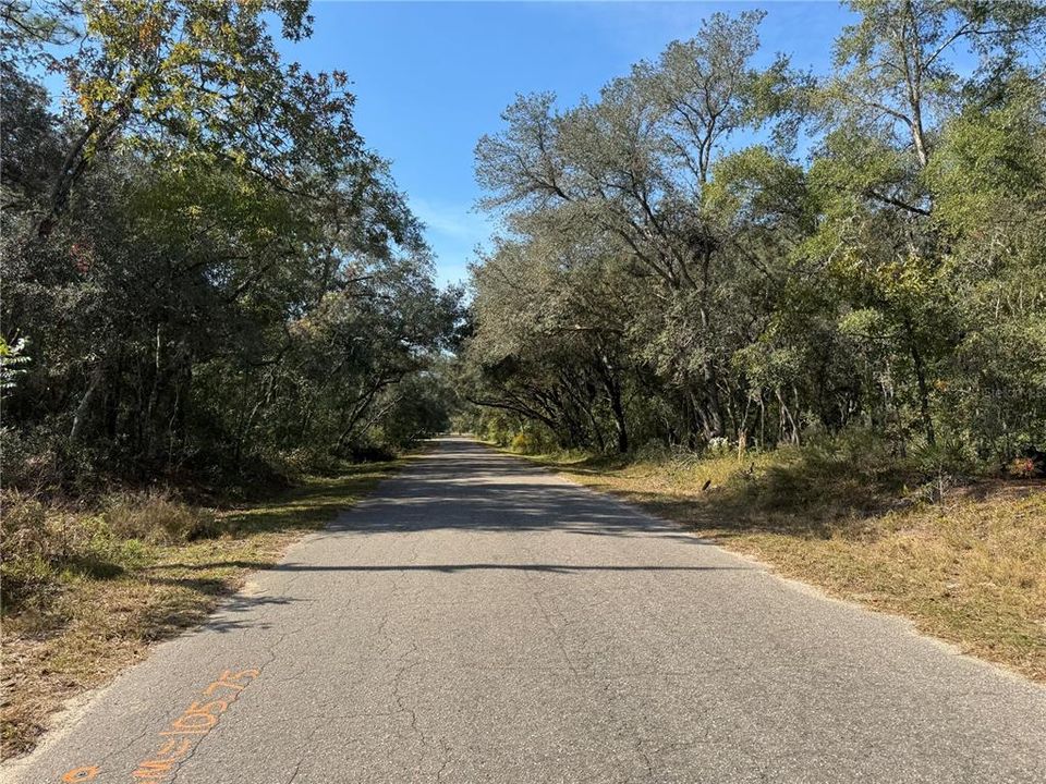 En Venta: $23,000 (0.34 acres)