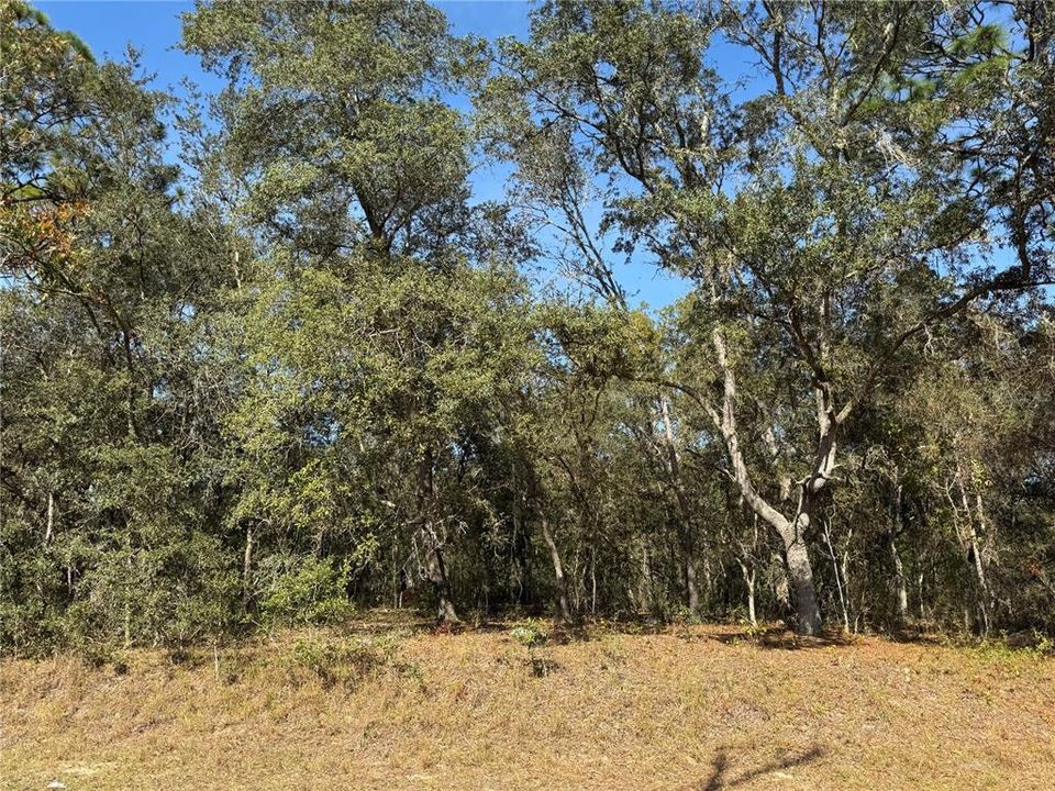 En Venta: $23,000 (0.34 acres)