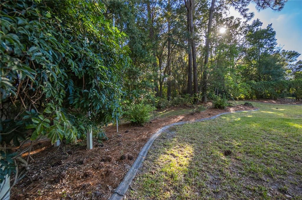 待售: $370,000 (4 贝兹, 2 浴室, 2392 平方英尺)