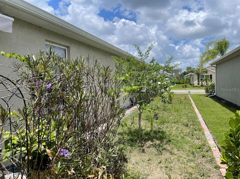 For Rent: $2,995 (3 beds, 2 baths, 1736 Square Feet)