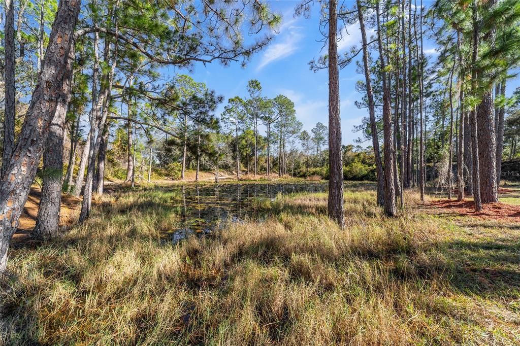 На продажу: $2,500,000 (2 спален, 2 ванн, 1155 Квадратных фут)