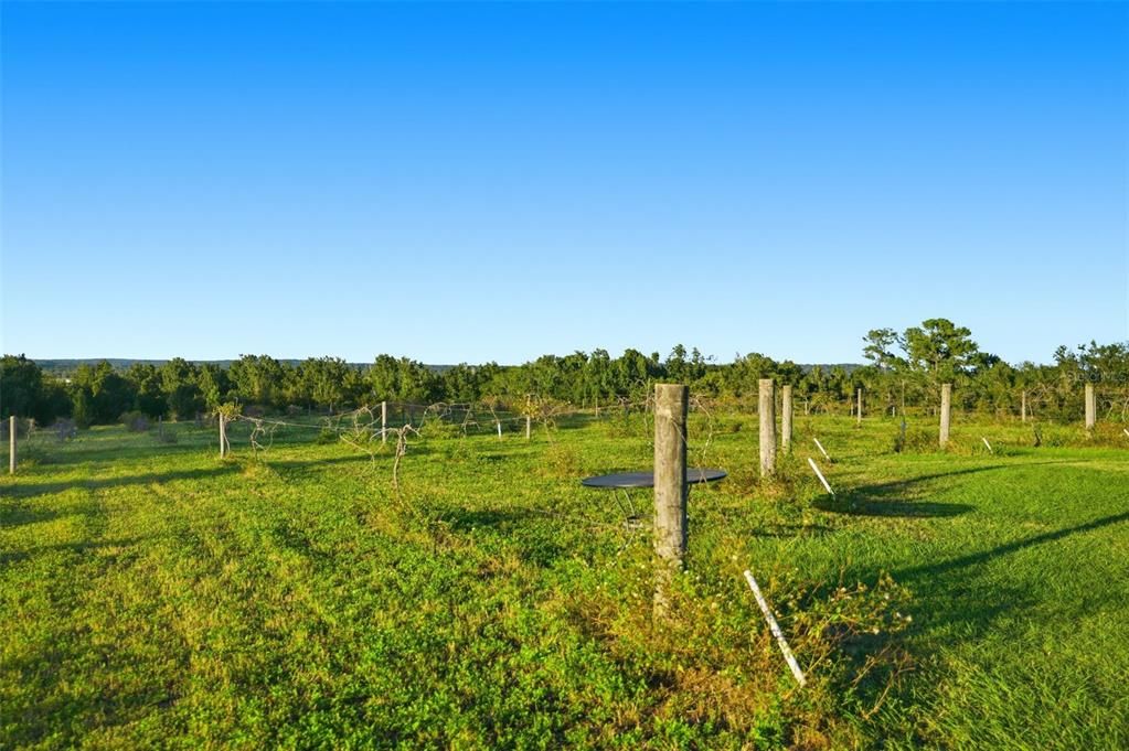 For Sale: $4,900,000 (0 beds, 0 baths, 3776 Square Feet)