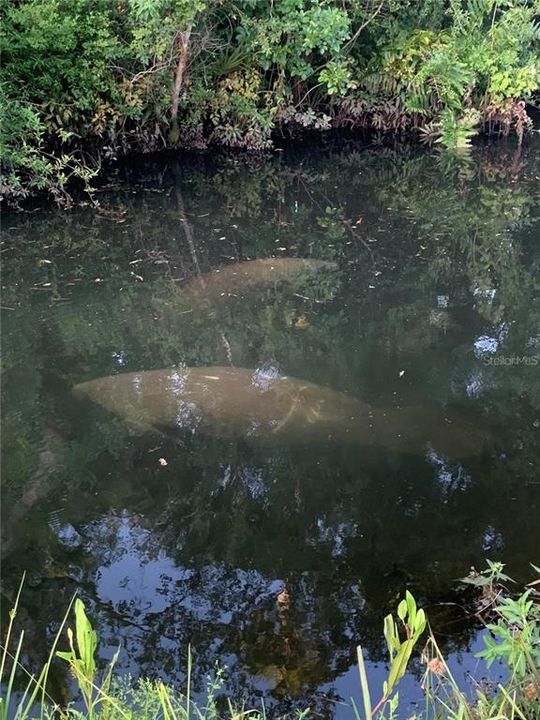 For Sale: $407,000 (3 beds, 2 baths, 1991 Square Feet)