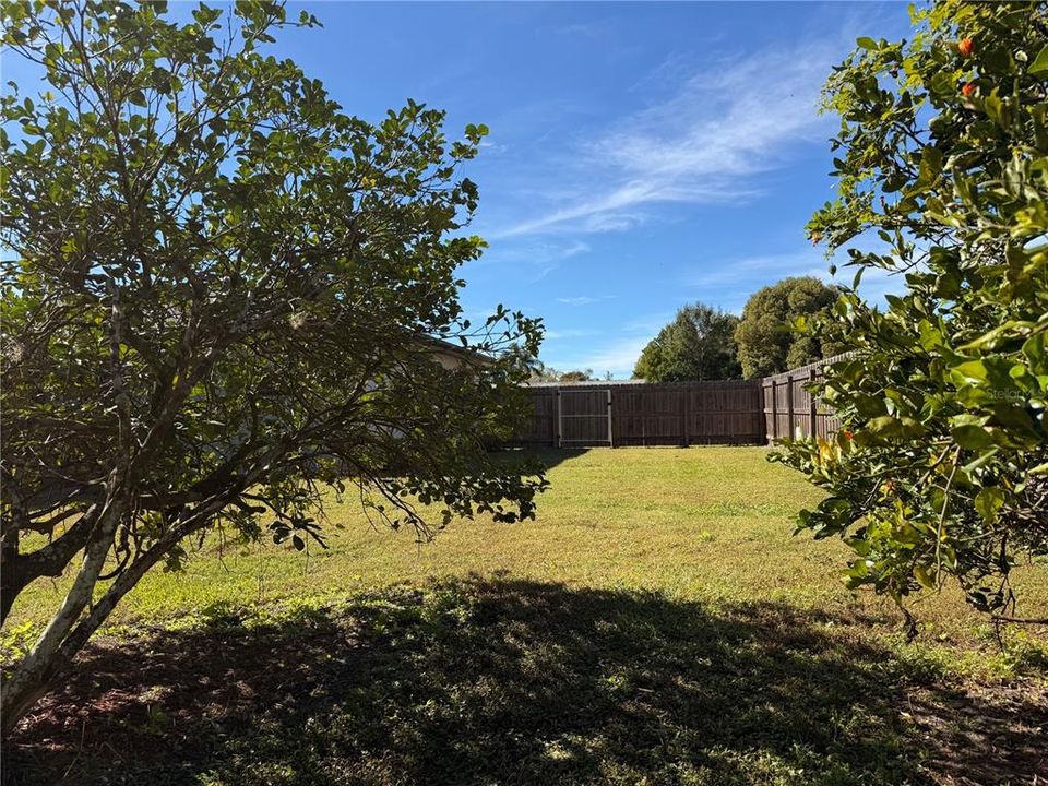 For Sale: $460,000 (4 beds, 2 baths, 1882 Square Feet)