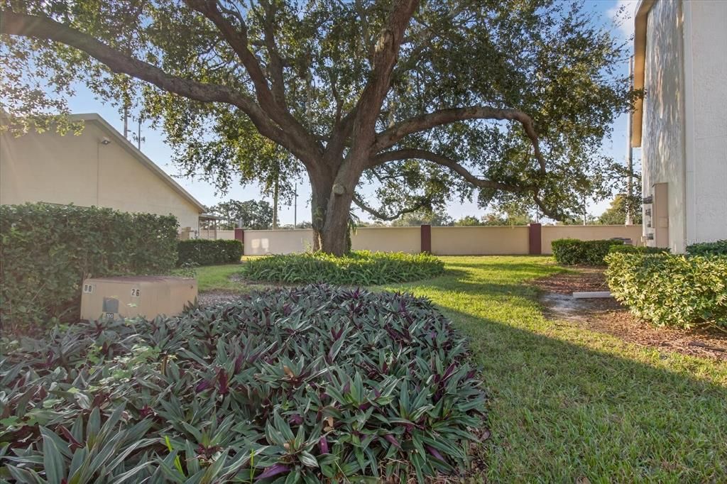 For Sale: $135,000 (2 beds, 1 baths, 925 Square Feet)