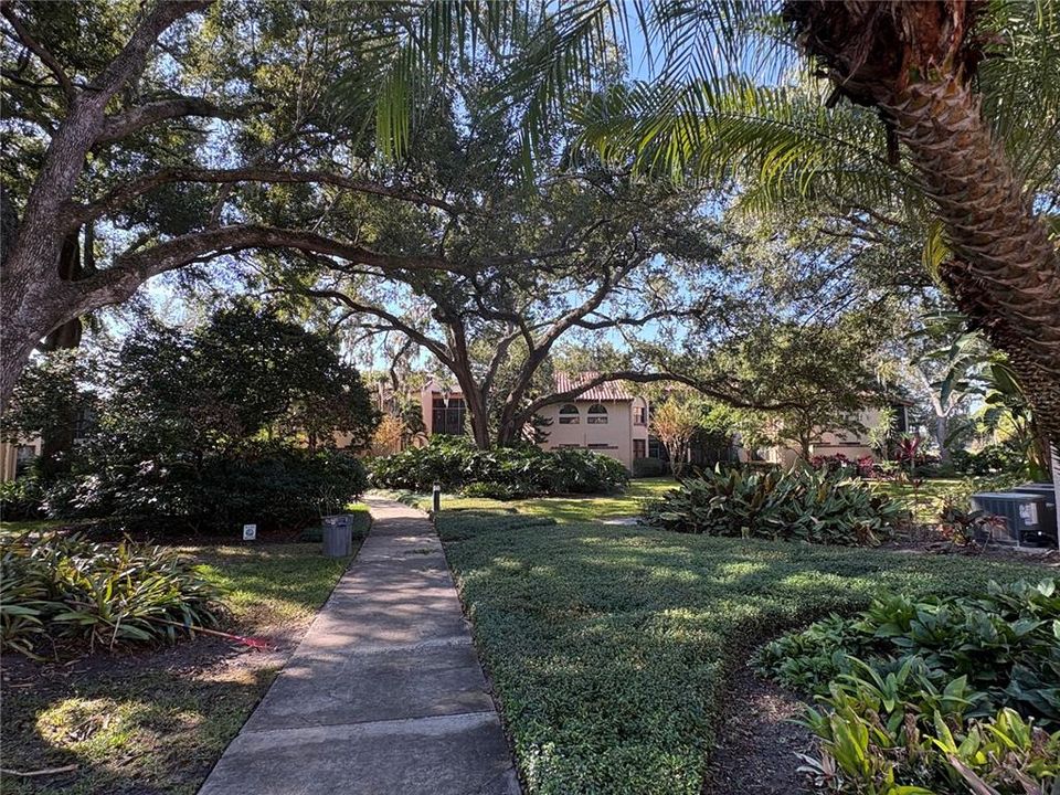 На продажу: $368,900 (3 спален, 2 ванн, 1460 Квадратных фут)