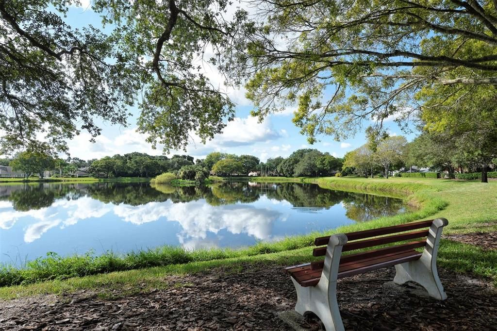 Activo con contrato: $320,000 (3 camas, 2 baños, 1509 Pies cuadrados)