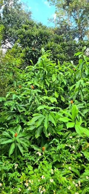 En Venta: $167,000 (2 camas, 2 baños, 784 Pies cuadrados)