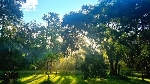 En Venta: $167,000 (2 camas, 2 baños, 784 Pies cuadrados)