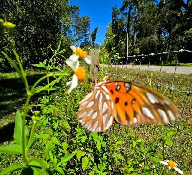 En Venta: $167,000 (2 camas, 2 baños, 784 Pies cuadrados)