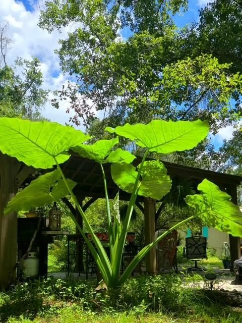 En Venta: $167,000 (2 camas, 2 baños, 784 Pies cuadrados)