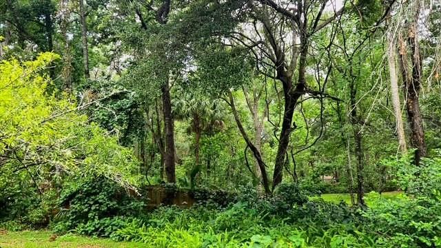 En Venta: $167,000 (2 camas, 2 baños, 784 Pies cuadrados)