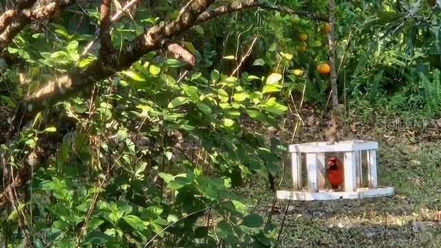 En Venta: $167,000 (2 camas, 2 baños, 784 Pies cuadrados)