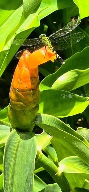 En Venta: $167,000 (2 camas, 2 baños, 784 Pies cuadrados)