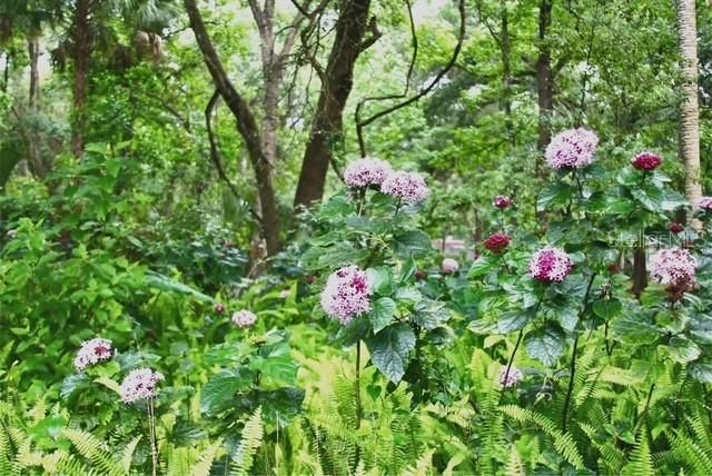 En Venta: $167,000 (2 camas, 2 baños, 784 Pies cuadrados)