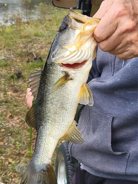 待售: $369,900 (3 贝兹, 2 浴室, 1607 平方英尺)