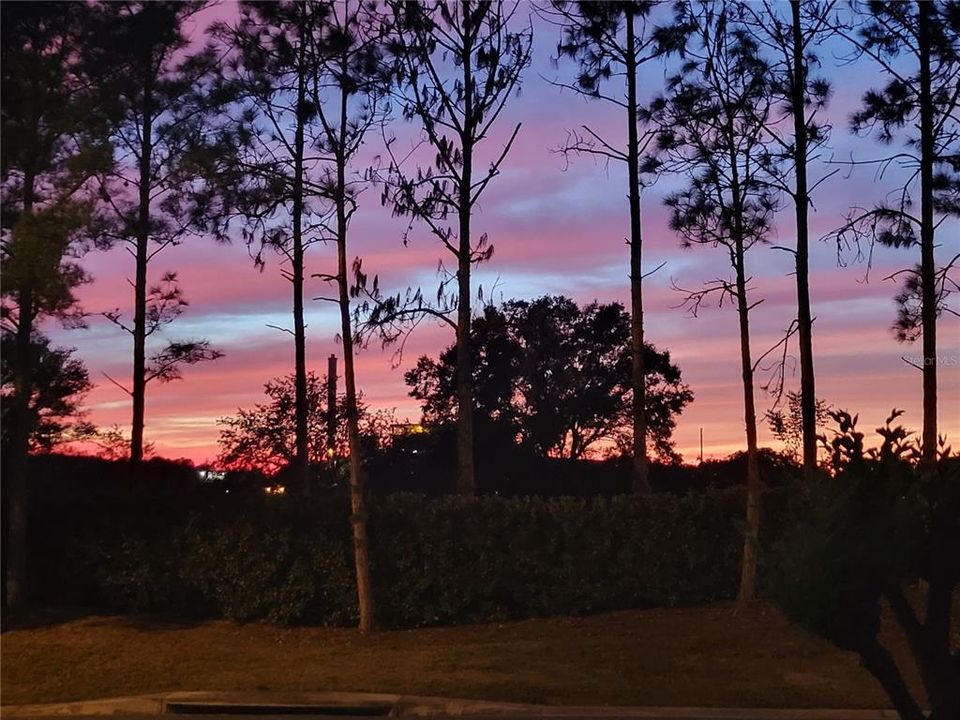 待售: $369,900 (3 贝兹, 2 浴室, 1607 平方英尺)