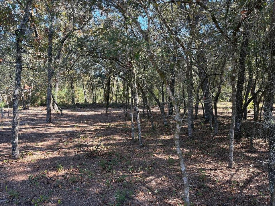 For Sale: $25,000 (0.23 acres)