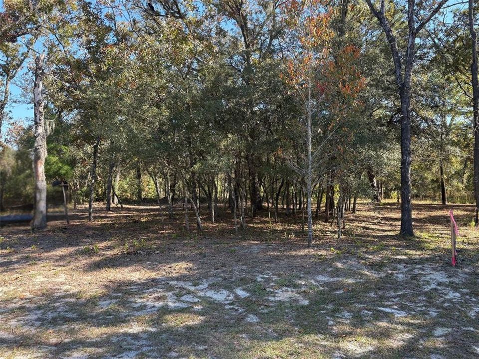 For Sale: $25,000 (0.23 acres)