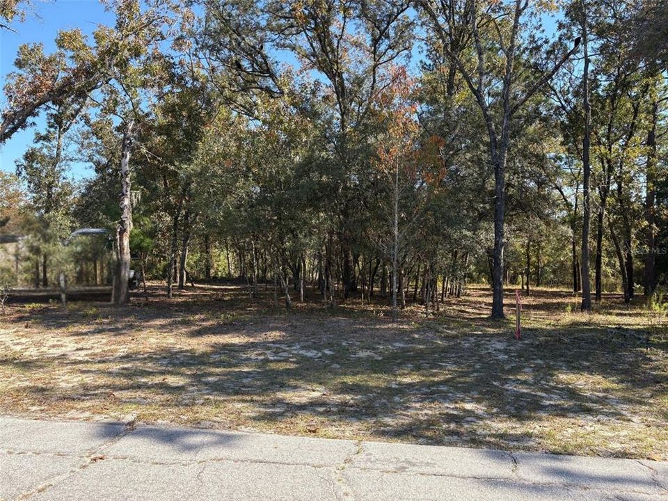 For Sale: $25,000 (0.23 acres)