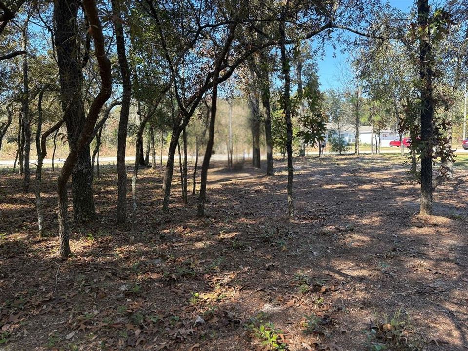 For Sale: $25,000 (0.23 acres)