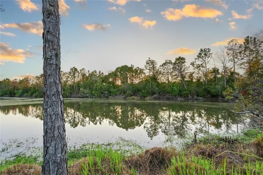 For Sale: $824,900 (3 beds, 3 baths, 2642 Square Feet)