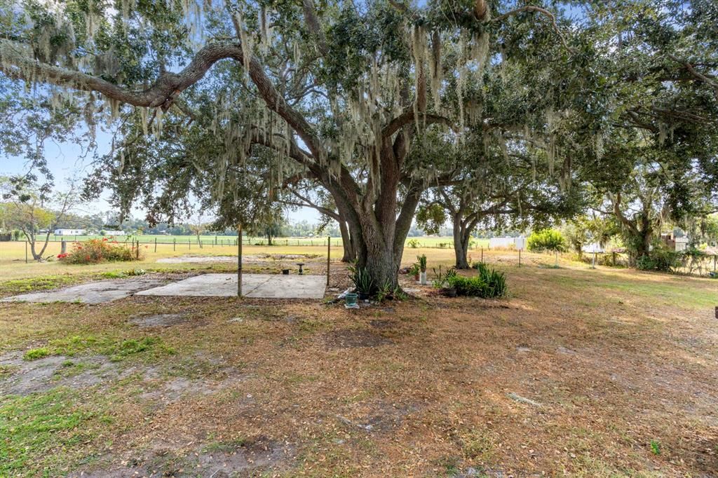 合同活跃: $295,000 (2 贝兹, 2 浴室, 1218 平方英尺)