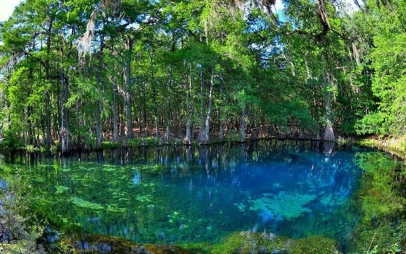 For Sale: $30,000 (1.17 acres)