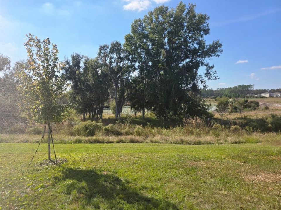 For Rent: $2,985 (4 beds, 2 baths, 2045 Square Feet)