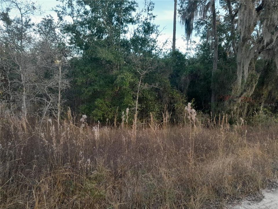 На продажу: $28,000 (1.00 acres)