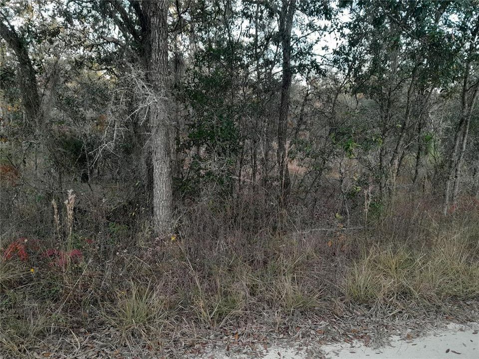 На продажу: $28,000 (1.00 acres)