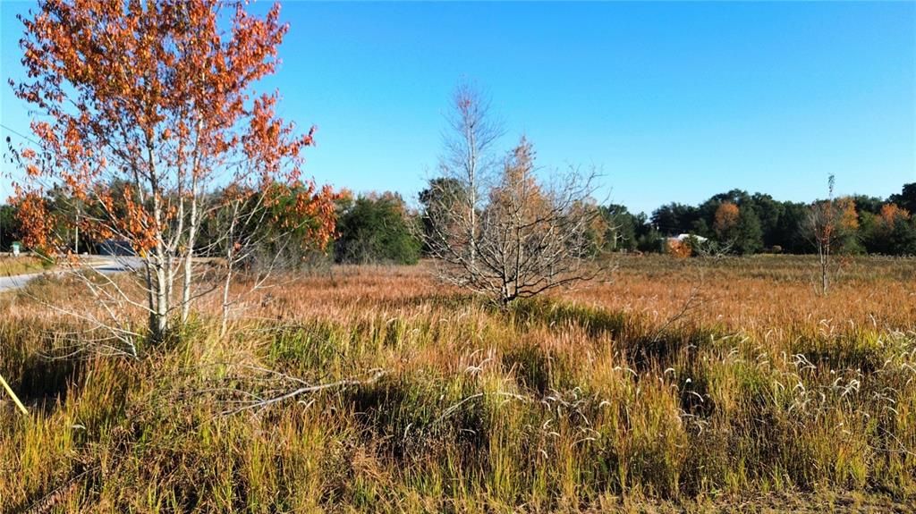 For Sale: $37,500 (0.38 acres)