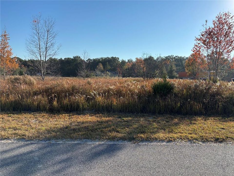 For Sale: $37,500 (0.38 acres)