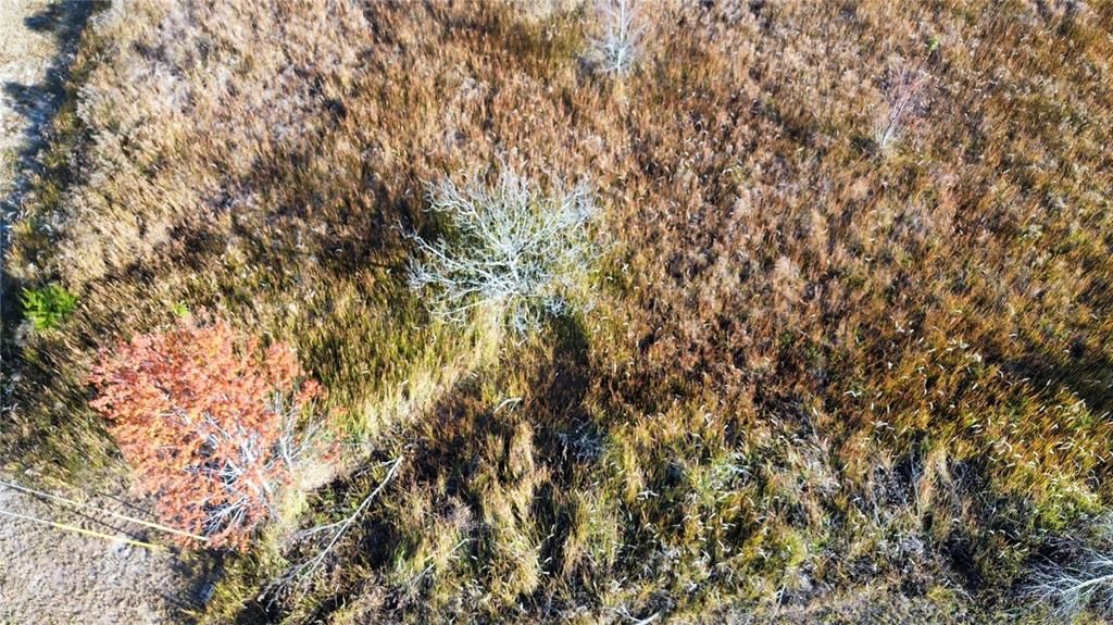 For Sale: $37,500 (0.38 acres)