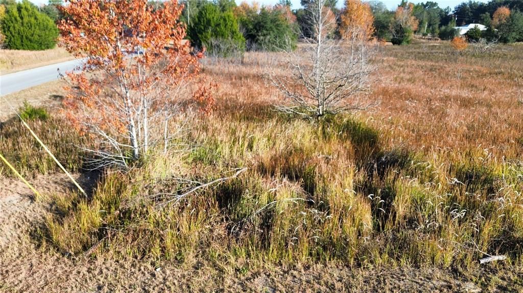 For Sale: $37,500 (0.38 acres)