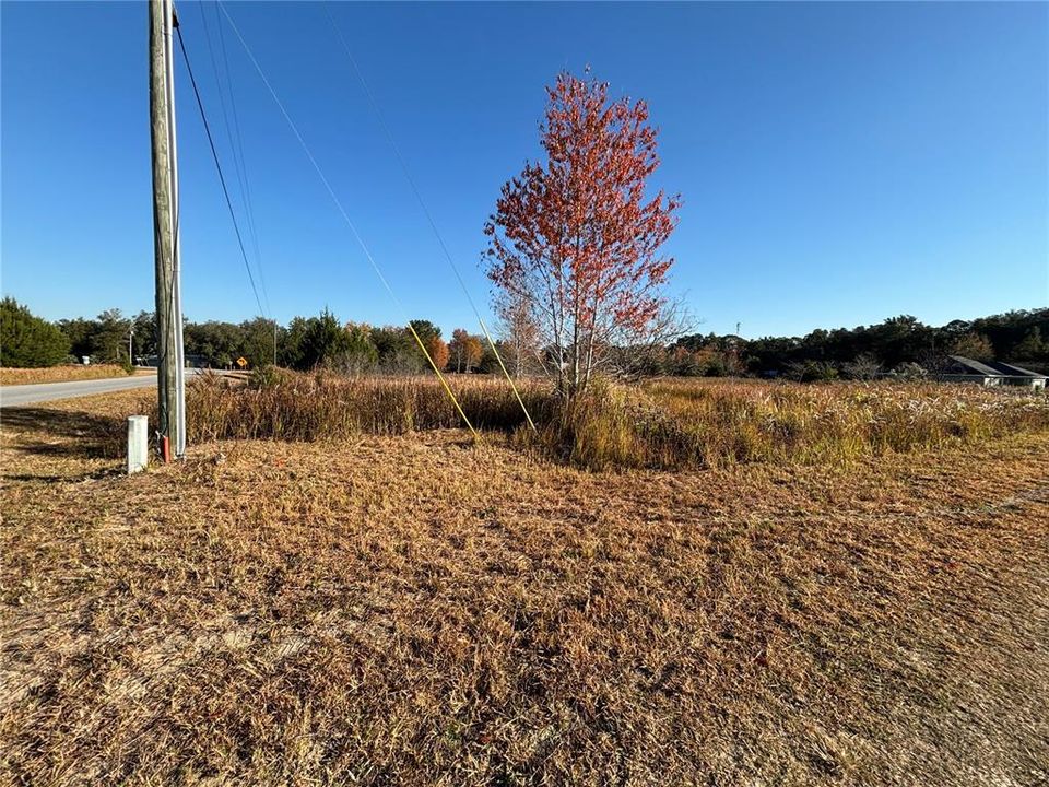 For Sale: $37,500 (0.38 acres)