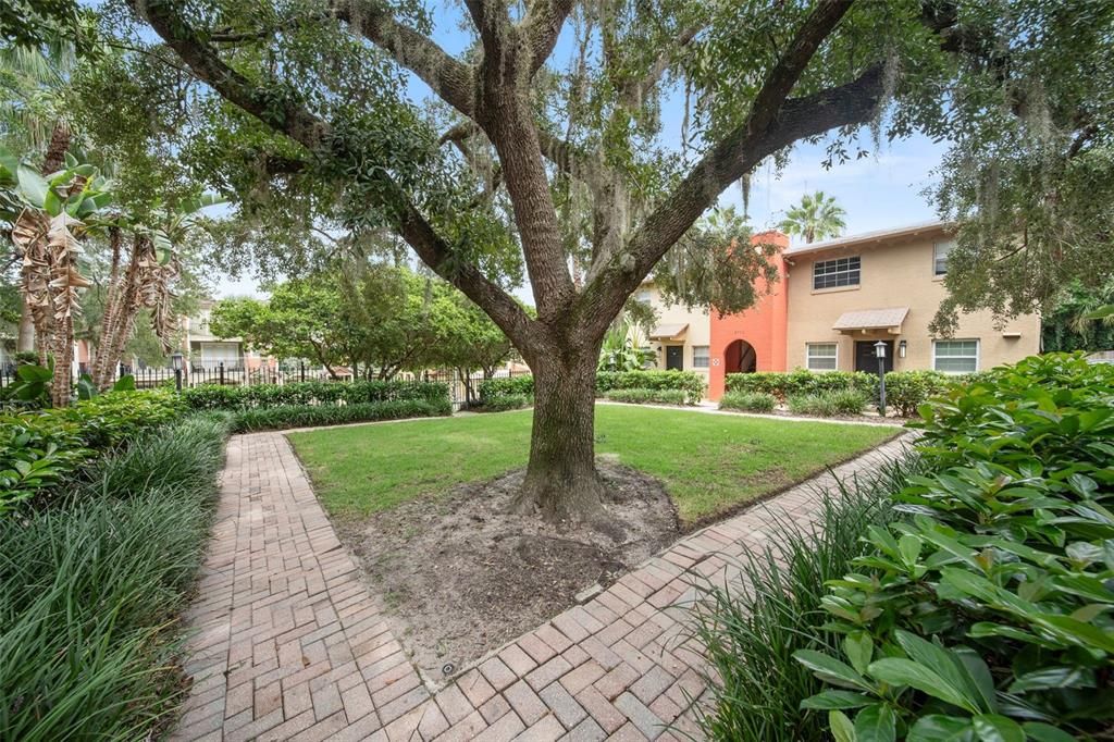 For Sale: $143,000 (1 beds, 1 baths, 537 Square Feet)