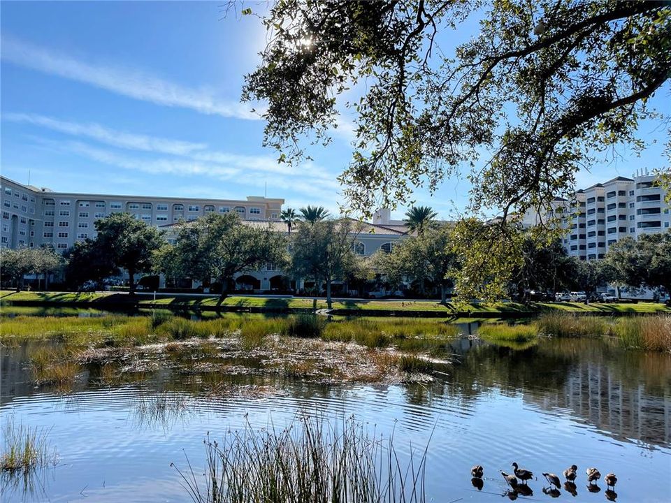 For Rent: $1,800 (2 beds, 2 baths, 1245 Square Feet)